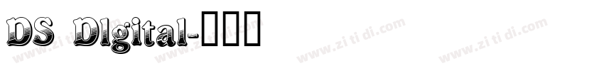 DS Dlgital字体转换